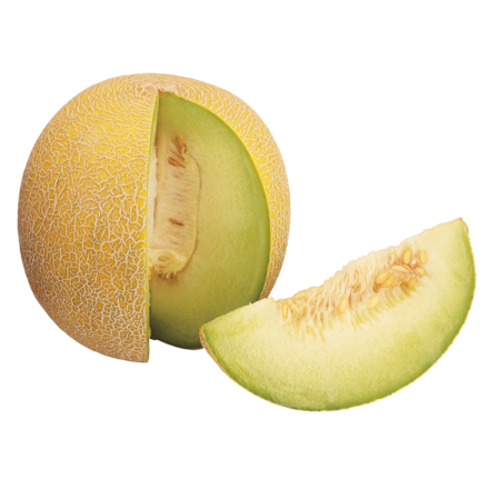Galia oder Cantaloupe Melone